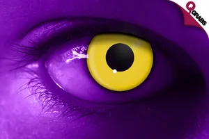 huge_700x420__15581.png